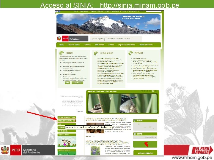  Acceso al SINIA: http: //sinia. minam. gob. pe 