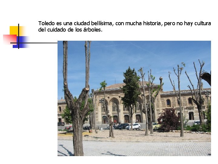 Toledo es una ciudad bellísima, con mucha historia, pero no hay cultura del cuidado