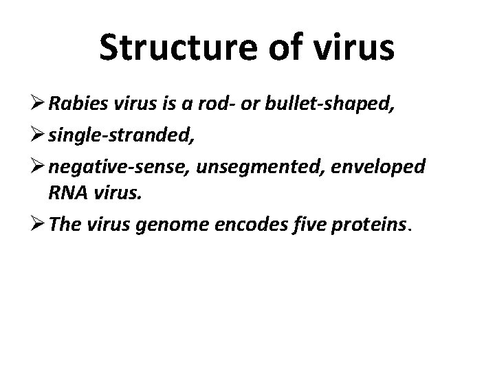 Structure of virus Ø Rabies virus is a rod- or bullet-shaped, Ø single-stranded, Ø
