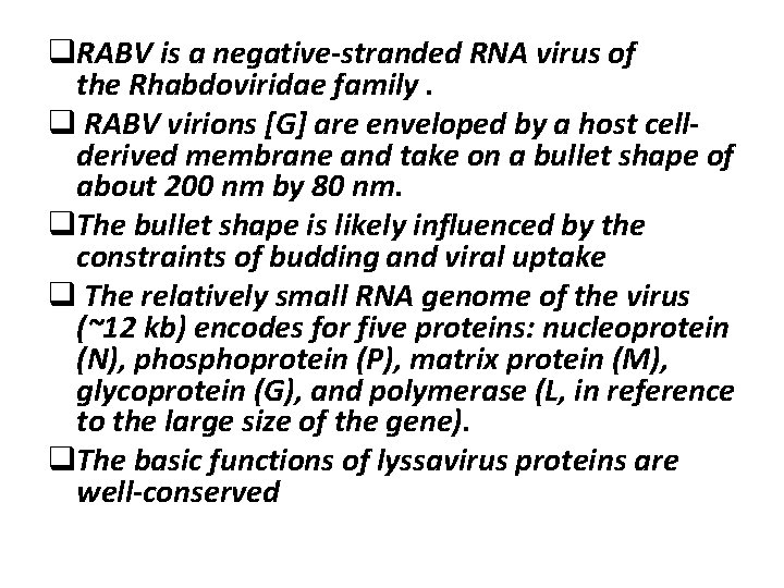 q. RABV is a negative-stranded RNA virus of the Rhabdoviridae family. q RABV virions