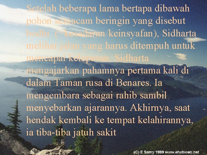 Setelah beberapa lama bertapa dibawah pohon semacam beringin yang disebut bodhi (=kesadaran/keinsyafan), Sidharta melihat