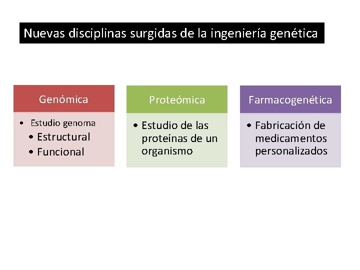 Nuevas disciplinas surgidas de la ingeniería genética Genómica • Estudio genoma • Estructural •