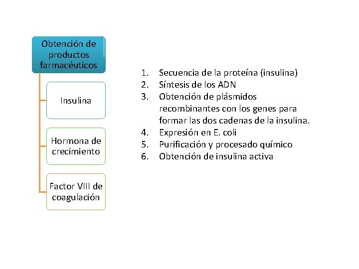 Obtención de productos farmacéuticos Insulina Hormona de crecimiento Factor VIII de coagulación 1. Secuencia