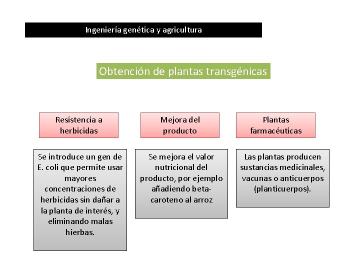 Ingeniería genética y agricultura Obtención de plantas transgénicas Resistencia a herbicidas Mejora del producto