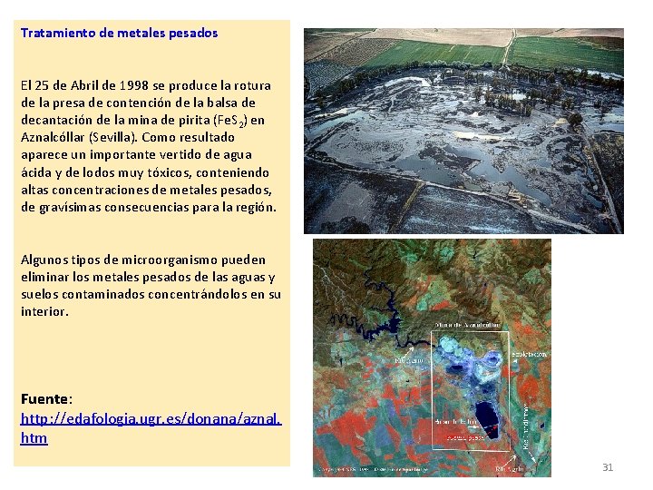 Tratamiento de metales pesados El 25 de Abril de 1998 se produce la rotura