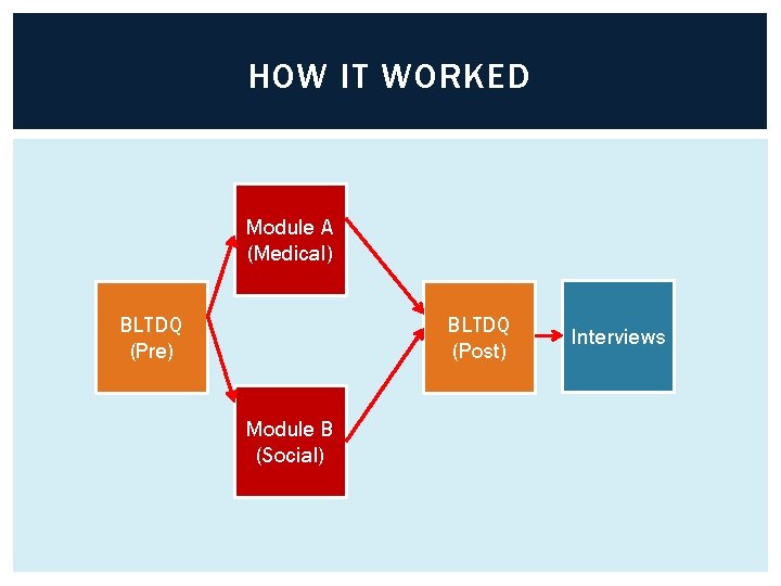 HOW IT WORKED Module A (Medical) BLTDQ (Pre) BLTDQ (Post) Module B (Social) Interviews