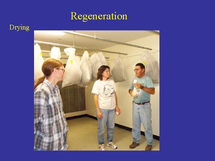 Regeneration Drying 