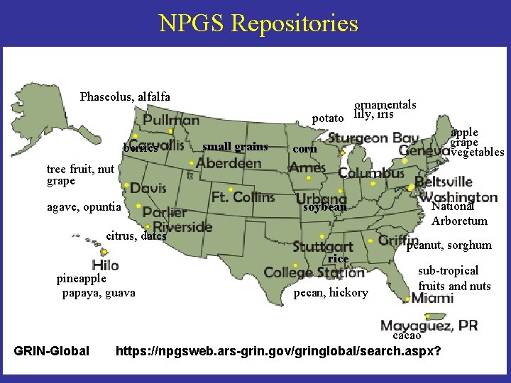 NPGS Repositories Phaseolus, alfalfa berries ornamentals potato lily, iris small grains apple grape vegetables