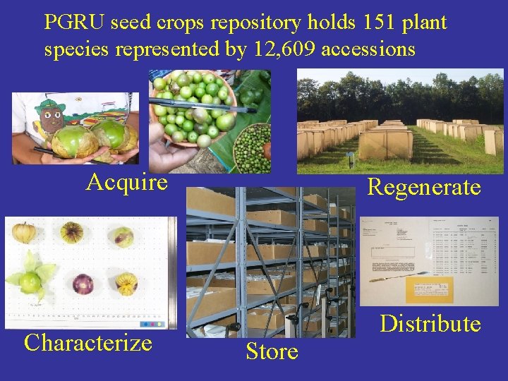 PGRU seed crops repository holds 151 plant species represented by 12, 609 accessions Acquire