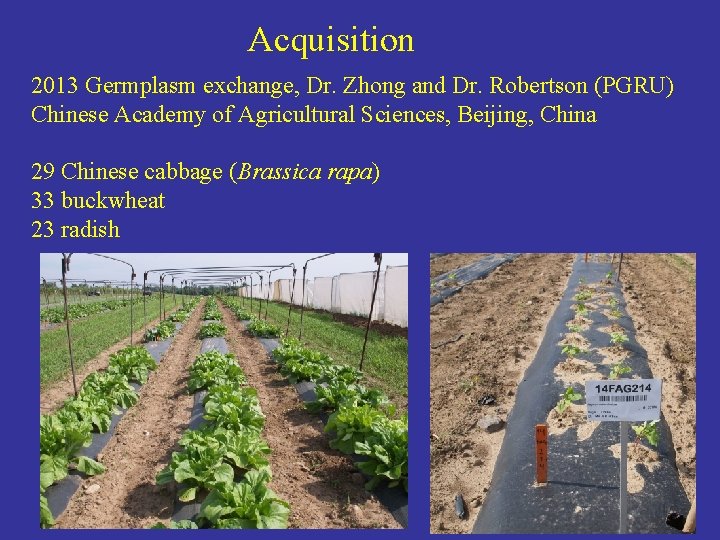 Acquisition 2013 Germplasm exchange, Dr. Zhong and Dr. Robertson (PGRU) Chinese Academy of Agricultural