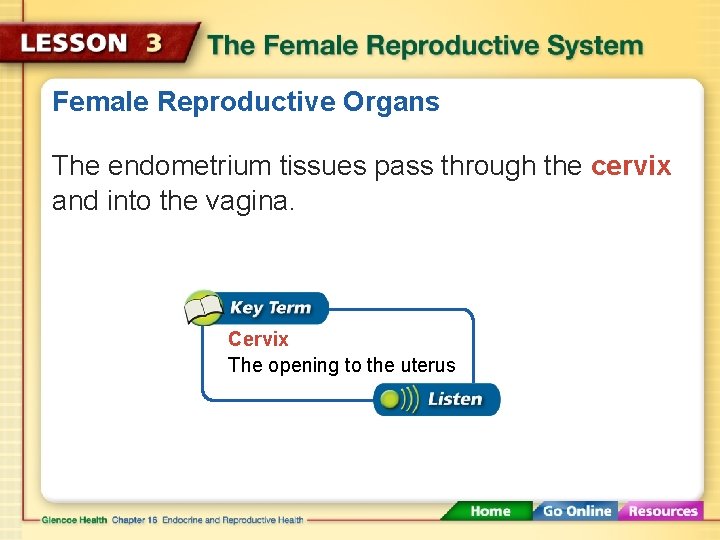 Female Reproductive Organs The endometrium tissues pass through the cervix and into the vagina.
