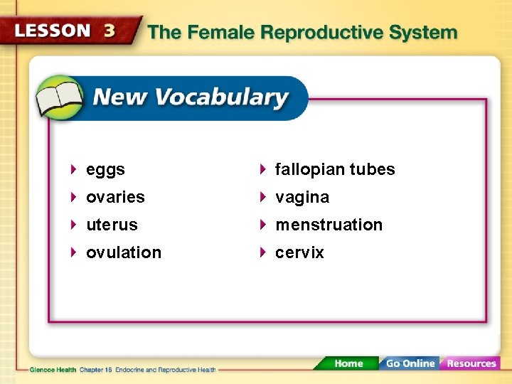 eggs fallopian tubes ovaries vagina uterus menstruation ovulation cervix 