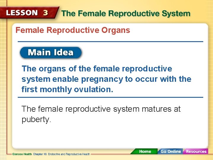 Female Reproductive Organs The organs of the female reproductive system enable pregnancy to occur