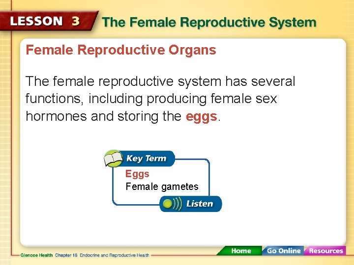 Female Reproductive Organs The female reproductive system has several functions, including producing female sex