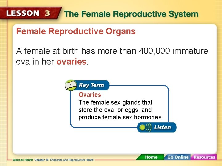 Female Reproductive Organs A female at birth has more than 400, 000 immature ova