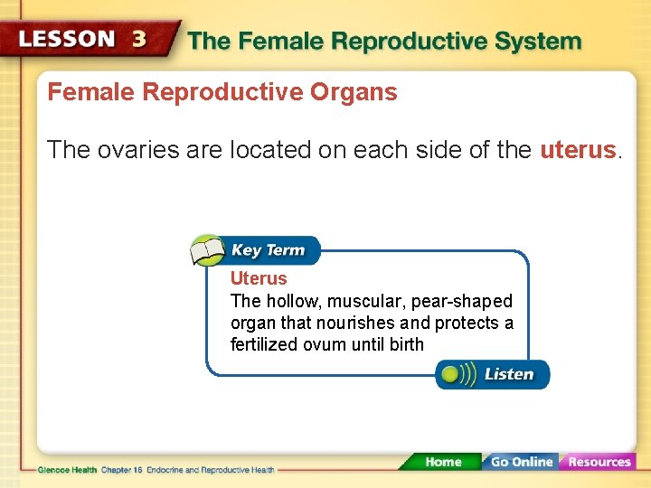 Female Reproductive Organs The ovaries are located on each side of the uterus. Uterus