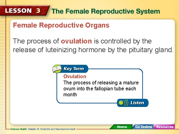 Female Reproductive Organs The process of ovulation is controlled by the release of luteinizing