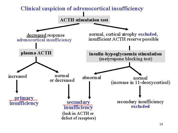 Clinical suspicion of adrenocortical insufficiency ACTH stimulation test decreased response adrenocortical insufficiency plasma ACTH