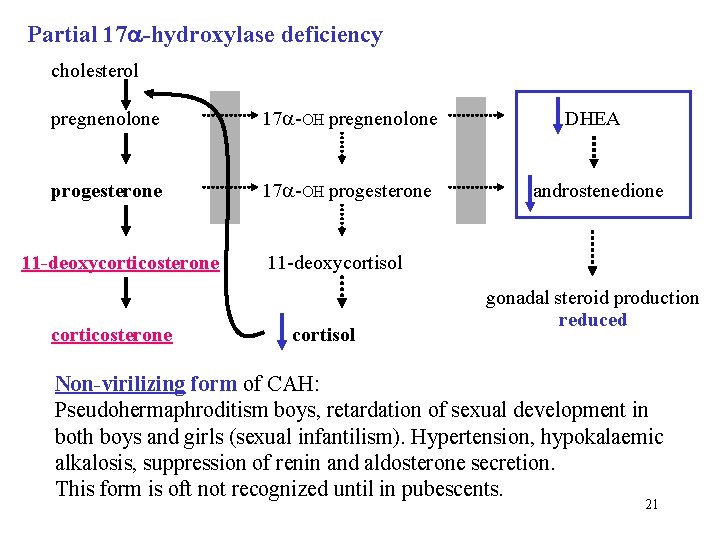 Partial 17 -hydroxylase deficiency cholesterol pregnenolone 17 -OH pregnenolone progesterone 17 -OH progesterone DHEA