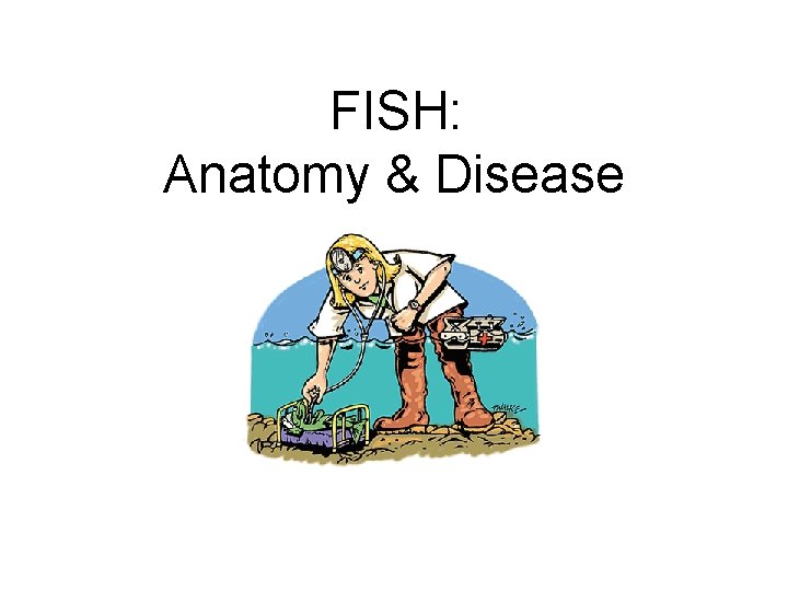 FISH: Anatomy & Disease 