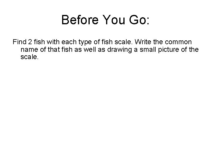 Before You Go: Find 2 fish with each type of fish scale. Write the