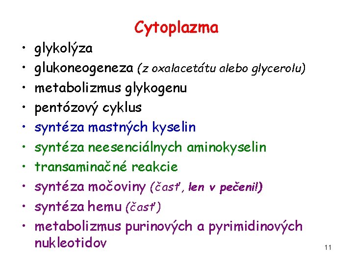 Cytoplazma • • • glykolýza glukoneogeneza (z oxalacetátu alebo glycerolu) metabolizmus glykogenu pentózový cyklus