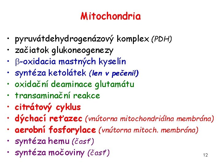 Mitochondria • • • pyruvátdehydrogenázový komplex (PDH) začiatok glukoneogenezy -oxidacia mastných kyselín syntéza ketolátek