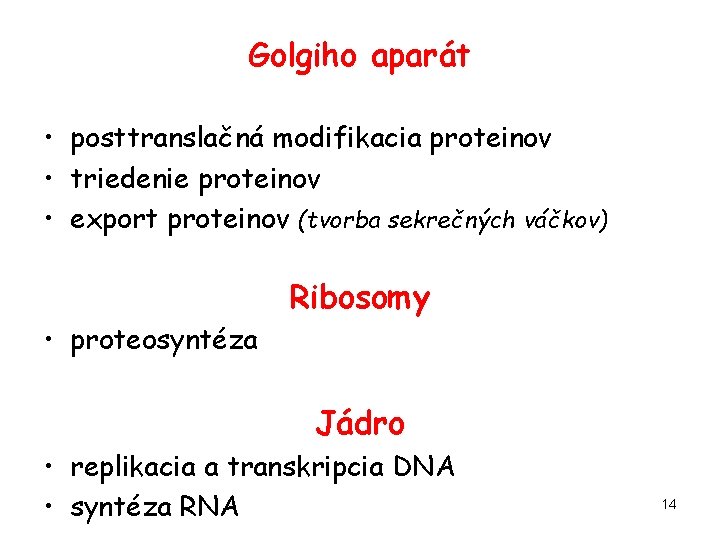 Golgiho aparát • posttranslačná modifikacia proteinov • triedenie proteinov • export proteinov (tvorba sekrečných