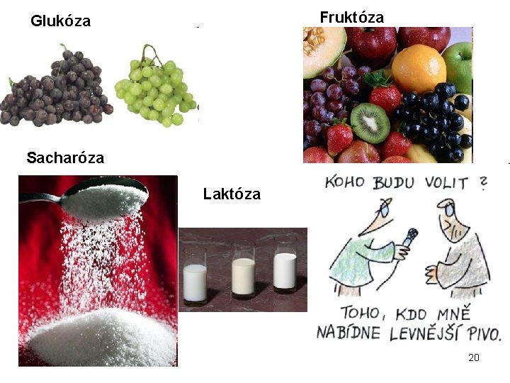 Fruktóza Glukóza Sacharóza Laktóza 20 