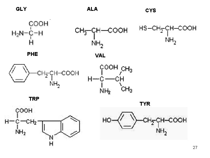GLY ALA PHE TRP CYS VAL TYR 27 