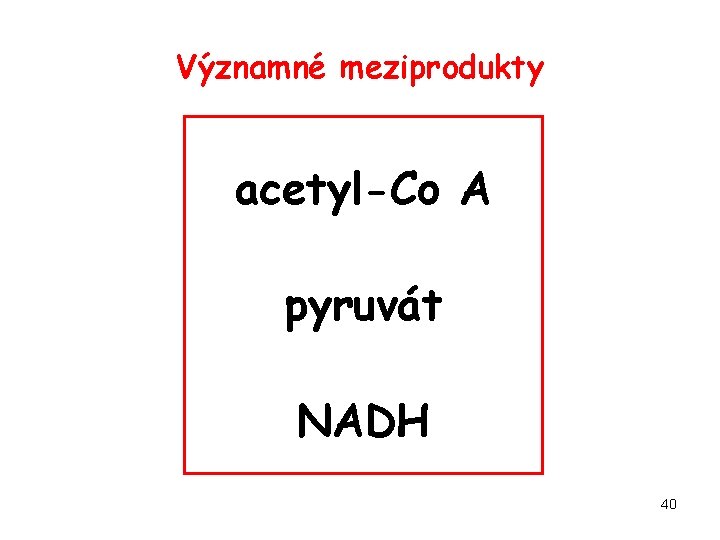 Významné meziprodukty acetyl-Co A pyruvát NADH 40 
