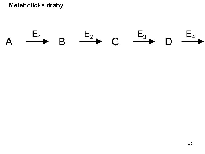 Metabolické dráhy 42 