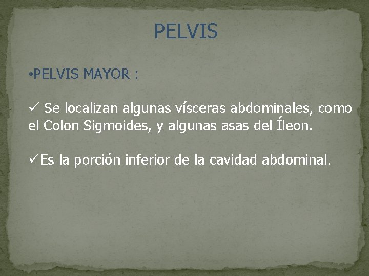 PELVIS • PELVIS MAYOR : ü Se localizan algunas vísceras abdominales, como el Colon