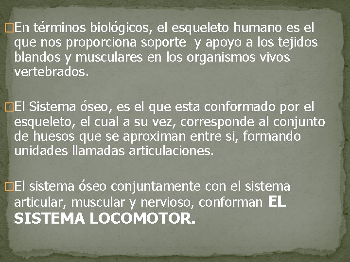 �En términos biológicos, el esqueleto humano es el que nos proporciona soporte y apoyo