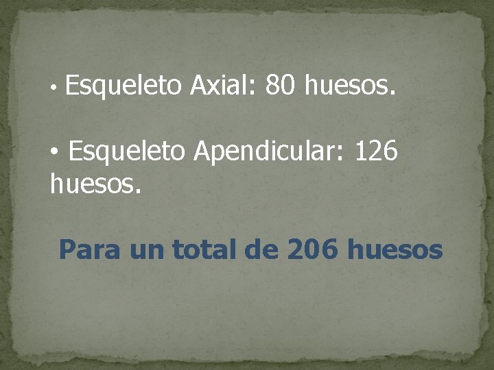  • Esqueleto Axial: 80 huesos. • Esqueleto Apendicular: 126 huesos. Para un total