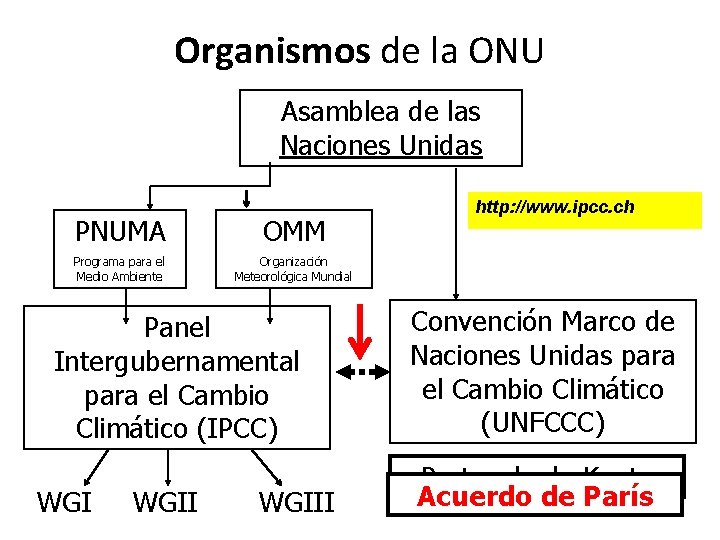 Organismos de la ONU Asamblea de las Naciones Unidas PNUMA OMM Programa para el