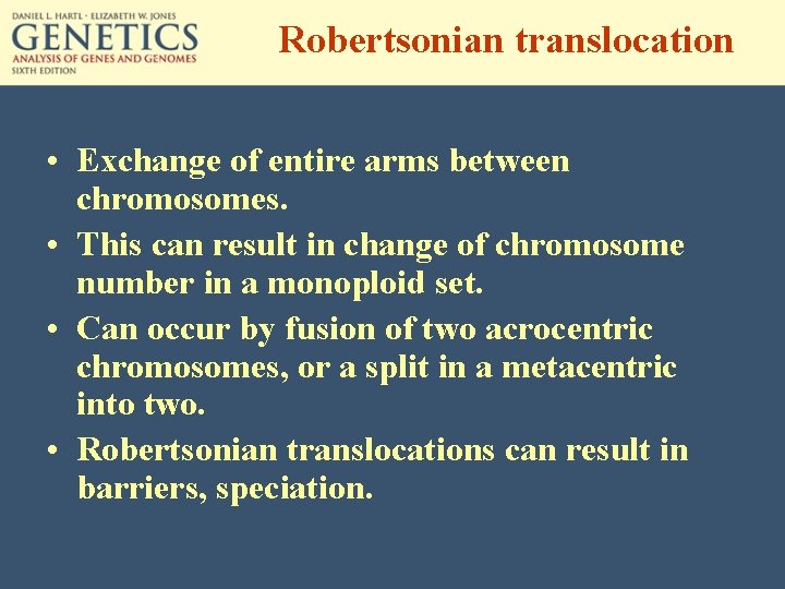 Robertsonian translocation • Exchange of entire arms between chromosomes. • This can result in