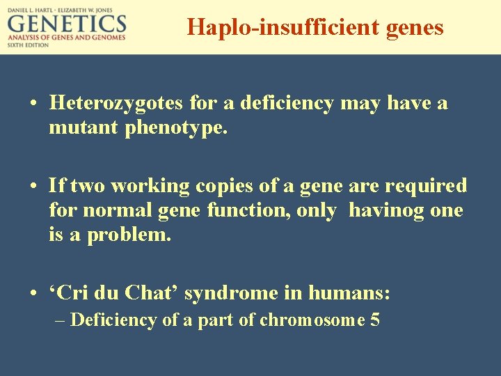Haplo-insufficient genes • Heterozygotes for a deficiency may have a mutant phenotype. • If