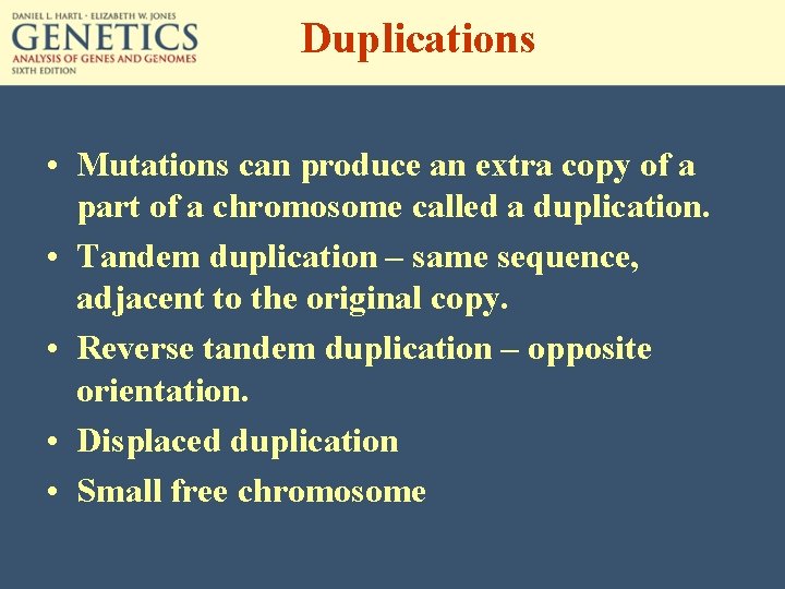 Duplications • Mutations can produce an extra copy of a part of a chromosome