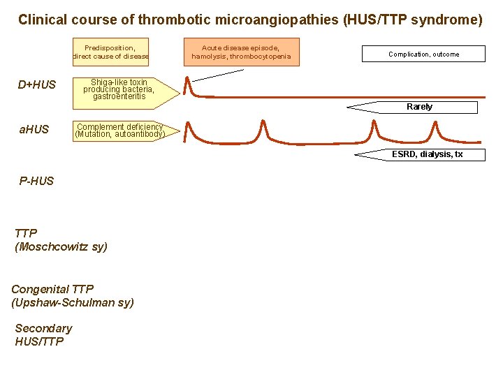 Clinical course of thrombotic microangiopathies (HUS/TTP syndrome) Predisposition, direct cause of disease D+HUS Acute