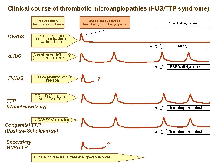Clinical course of thrombotic microangiopathies (HUS/TTP syndrome) Predisposition, direct cause of disease D+HUS Acute