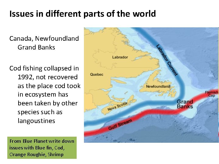 Issues in different parts of the world Canada, Newfoundland Grand Banks Cod fishing collapsed