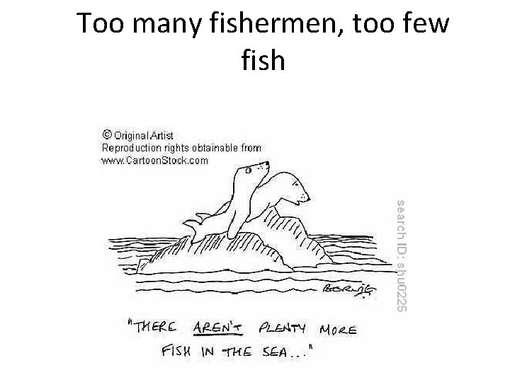 Too many fishermen, too few fish 