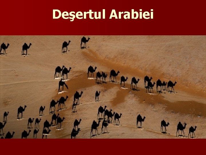 Beduini Deşertul Arabiei 
