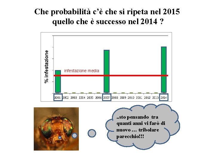 % infestazione Che probabilità c’è che si ripeta nel 2015 quello che è successo