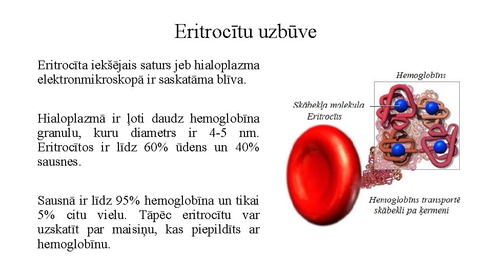 Eritrocītu uzbūve Eritrocīta iekšējais saturs jeb hialoplazma elektronmikroskopā ir saskatāma blīva. Hialoplazmā ir ļoti