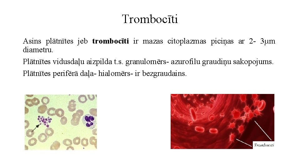 Trombocīti Asins plātnītes jeb trombocīti ir mazas citoplazmas piciņas ar 2 - 3µm diametru.