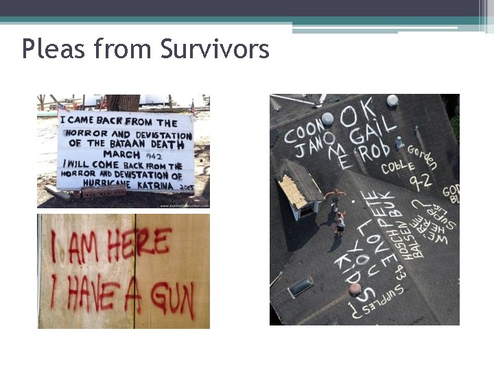 Pleas from Survivors 