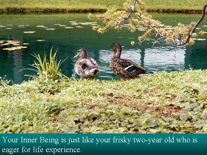 Your Inner Being is just like your frisky two-year old who is eager for