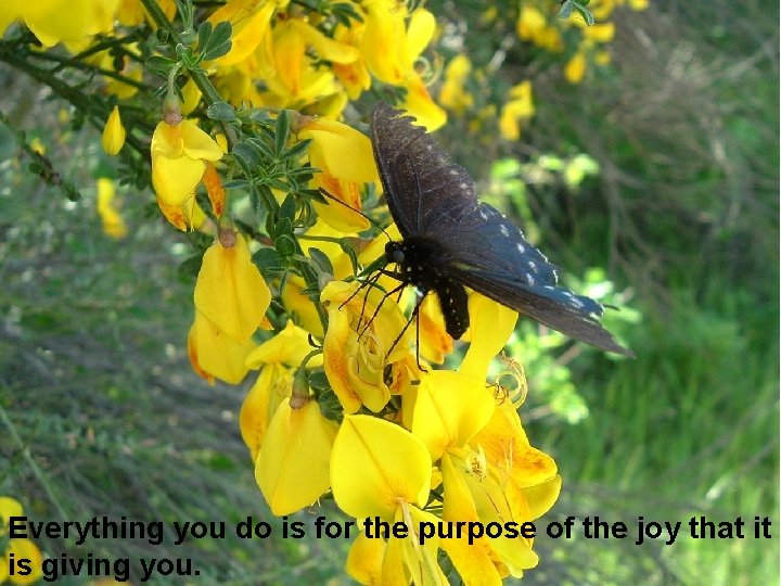 Everything you do is for the purpose of the joy that it is giving